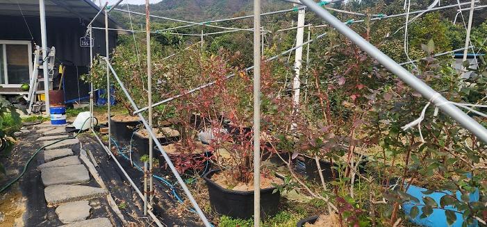 [크기변환]KakaoTalk_20251024_142227707_08.jpg 이미지